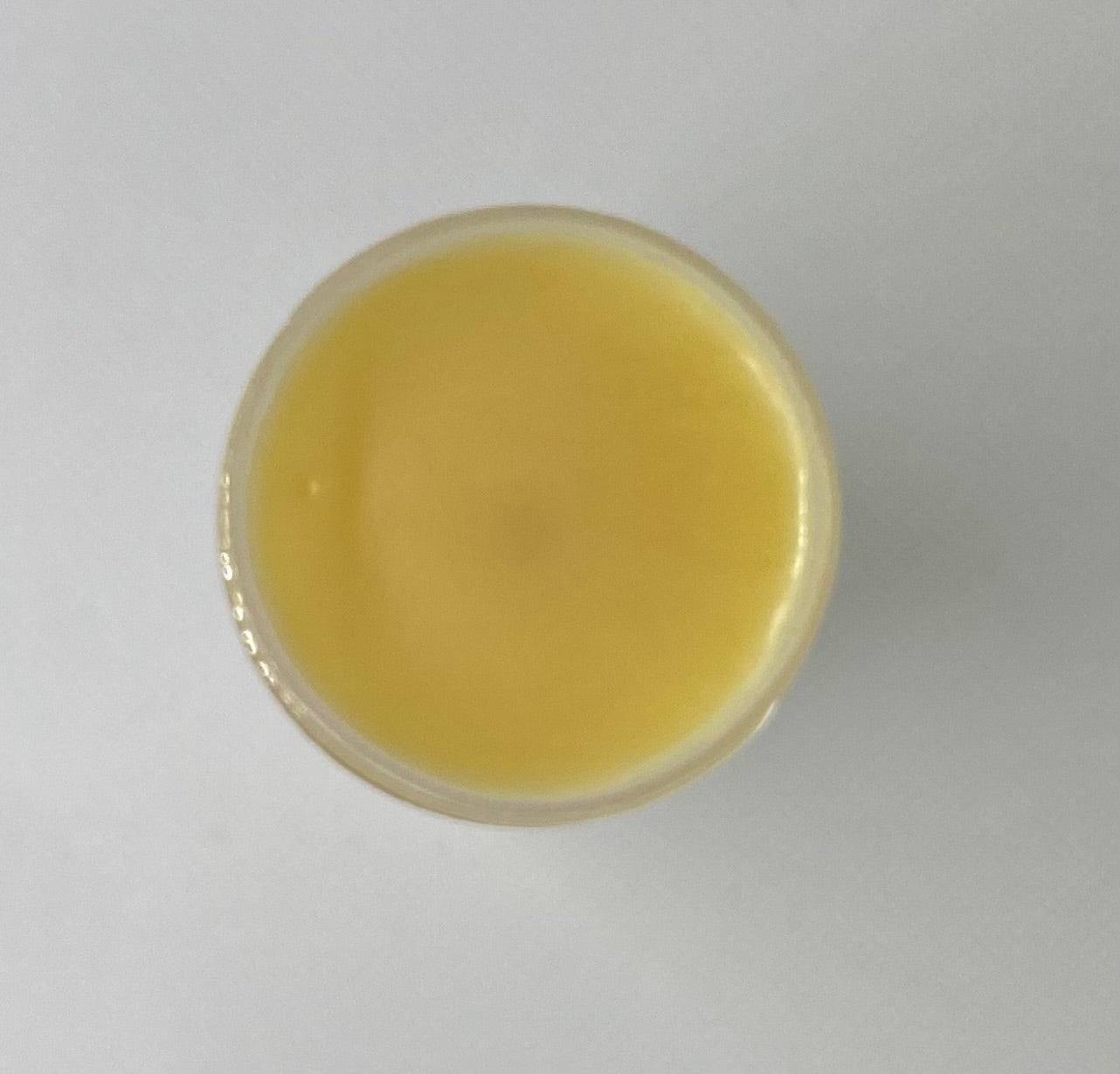 Vegan Calendula Body Balm Sensitive Skin Unscented